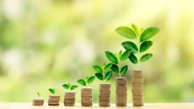 How to Invest Your Money Wisely and Grow Your Wealth