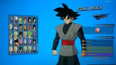 who is goku black