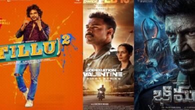 movie roles telugu 2024