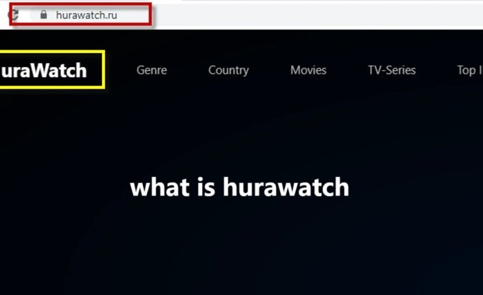 what is hurawatch